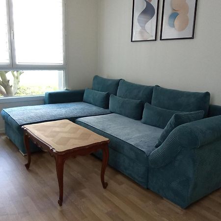 Bel Appartement Cosy Страсбург Екстер'єр фото