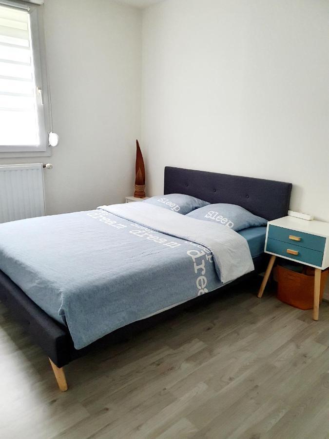 Bel Appartement Cosy Страсбург Екстер'єр фото